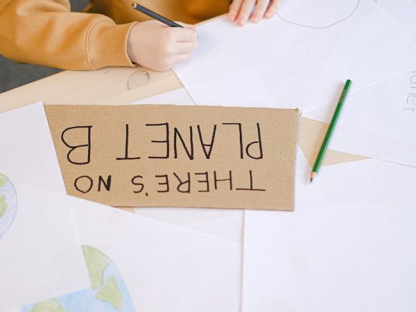 découvrez l'importance de l'éducation environnementale pour sensibiliser aux enjeux écologiques, promouvoir des comportements durables et encourager la protection de notre planète. apprenez comment élever les consciences et agir pour un avenir meilleur.