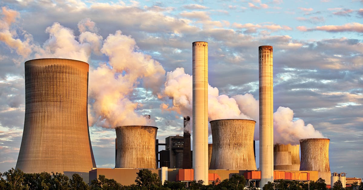 découvrez l'impact environnemental de nos actions quotidiennes et apprenez comment réduire notre empreinte écologique. explorez les enjeux écologiques et trouvez des solutions durables pour préserver notre planète.