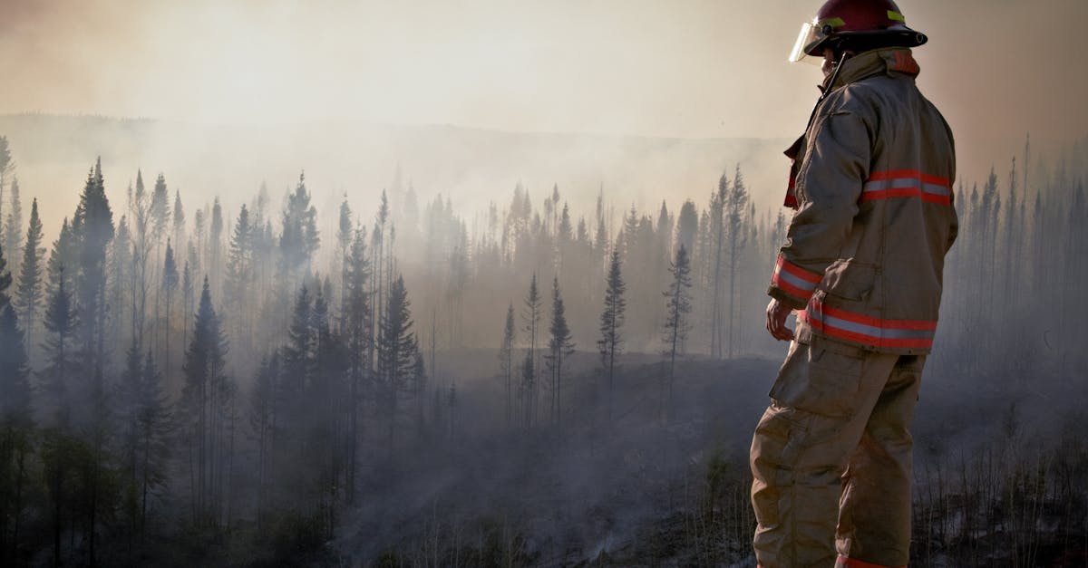découvrez l'impact environnemental, ses enjeux cruciaux et les actions à mettre en œuvre pour préserver notre planète. explorez les conséquences des activités humaines sur les écosystèmes et comment adopter des pratiques durables.