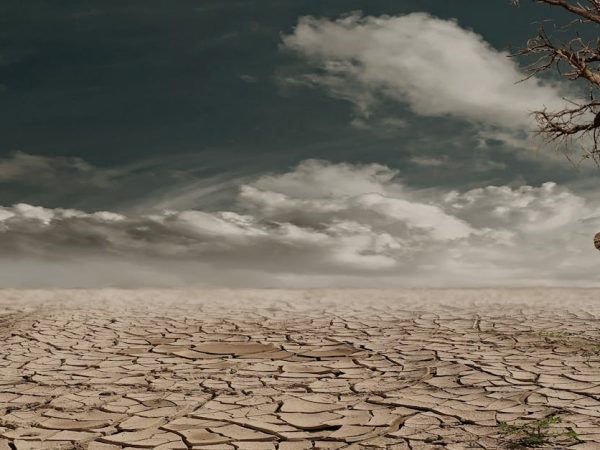 découvrez l'impact environnemental des activités humaines et explorez des solutions durables pour protéger notre planète. informez-vous sur les défis écologiques actuels et comment chacun peut contribuer à un avenir plus vert.