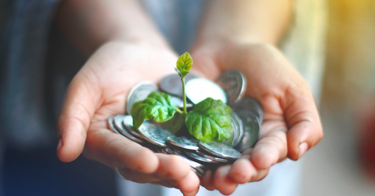 découvrez les fonds verts, des investissements durables qui favorisent la protection de l'environnement et le développement durable. investissez dans des projets respectueux de la planète et contribuez à un avenir plus vert.