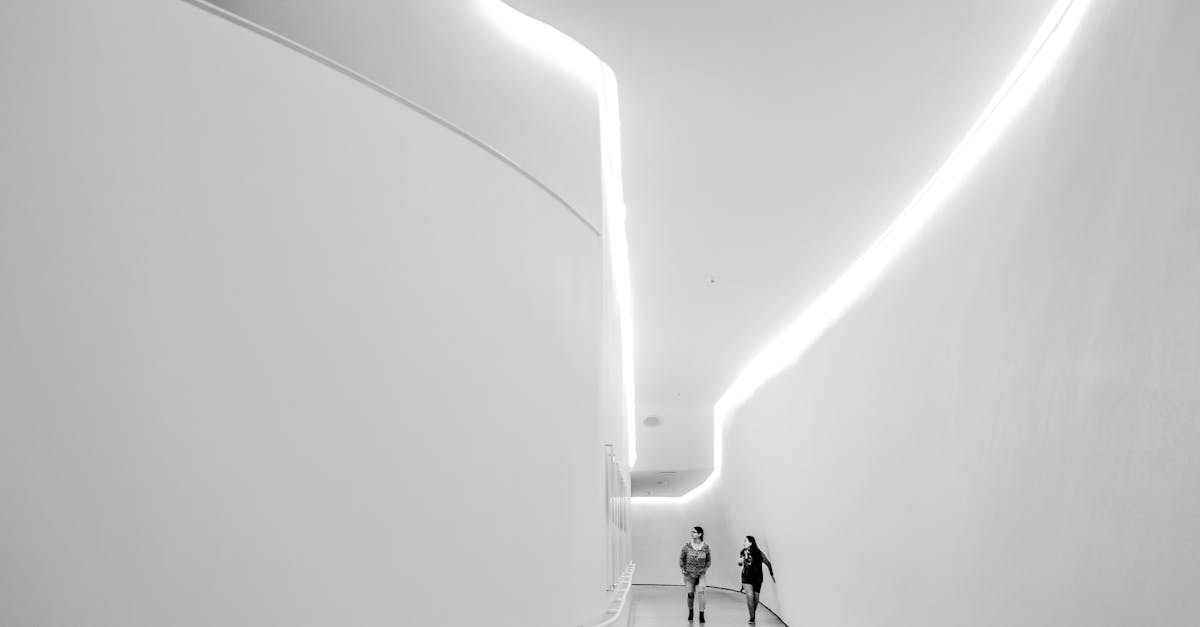 découvrez les avantages de l'éclairage led : économique, durable et respectueux de l'environnement. transformez votre espace avec une lumière éclatante et écoénergétique grâce à notre gamme de solutions d'éclairage led innovantes.