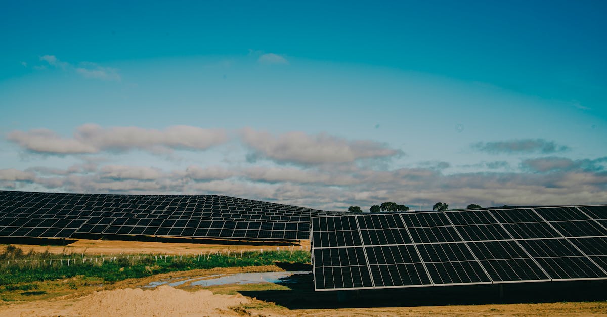 découvrez notre expertise en matière de centrales solaires photovoltaïques, des solutions innovantes pour exploiter l'énergie solaire, réduire votre empreinte carbone et réaliser des économies d'énergie. équipez vous pour un avenir durable!