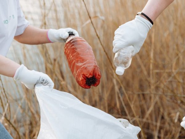 découvrez des stratégies efficaces pour réduire l'utilisation de plastique au quotidien. apprenez comment adopter des alternatives durables, minimiser les déchets et contribuer à la préservation de notre planète. ensemble, faisons la différence pour un avenir sans plastique.