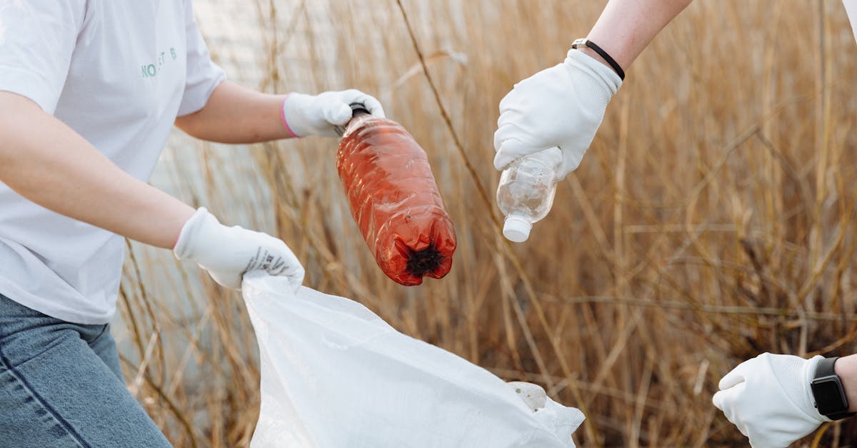 découvrez des stratégies efficaces pour réduire l'utilisation de plastique au quotidien. apprenez comment adopter des alternatives durables, minimiser les déchets et contribuer à la préservation de notre planète. ensemble, faisons la différence pour un avenir sans plastique.