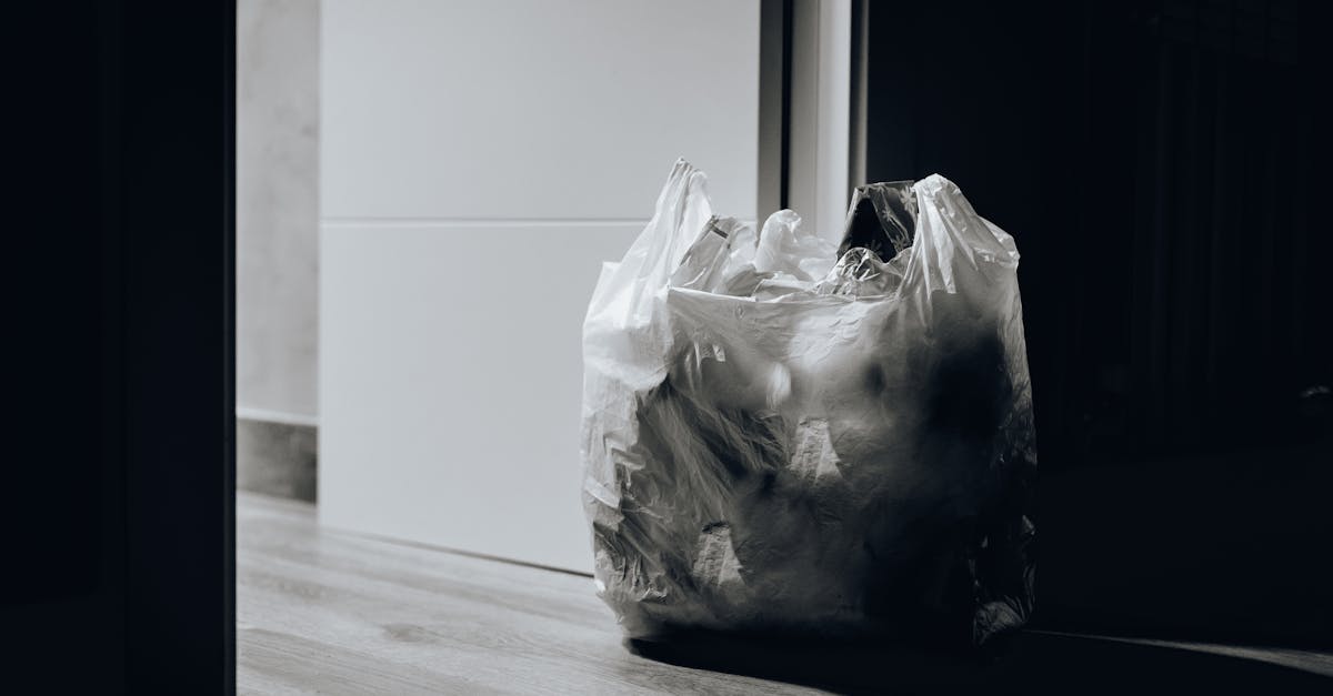 découvrez les taux de recyclage actuels et leur impact sur l'environnement. explorez les initiatives pour améliorer le recyclage et comment chacun peut contribuer à une planète plus verte.