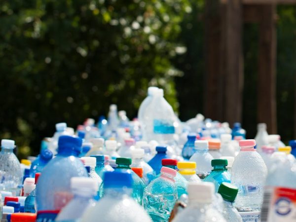 découvrez les taux de recyclage en france, leur évolution et leur impact sur l'environnement. informez-vous sur les initiatives et les actions pour améliorer la gestion des déchets et favoriser un avenir durable.