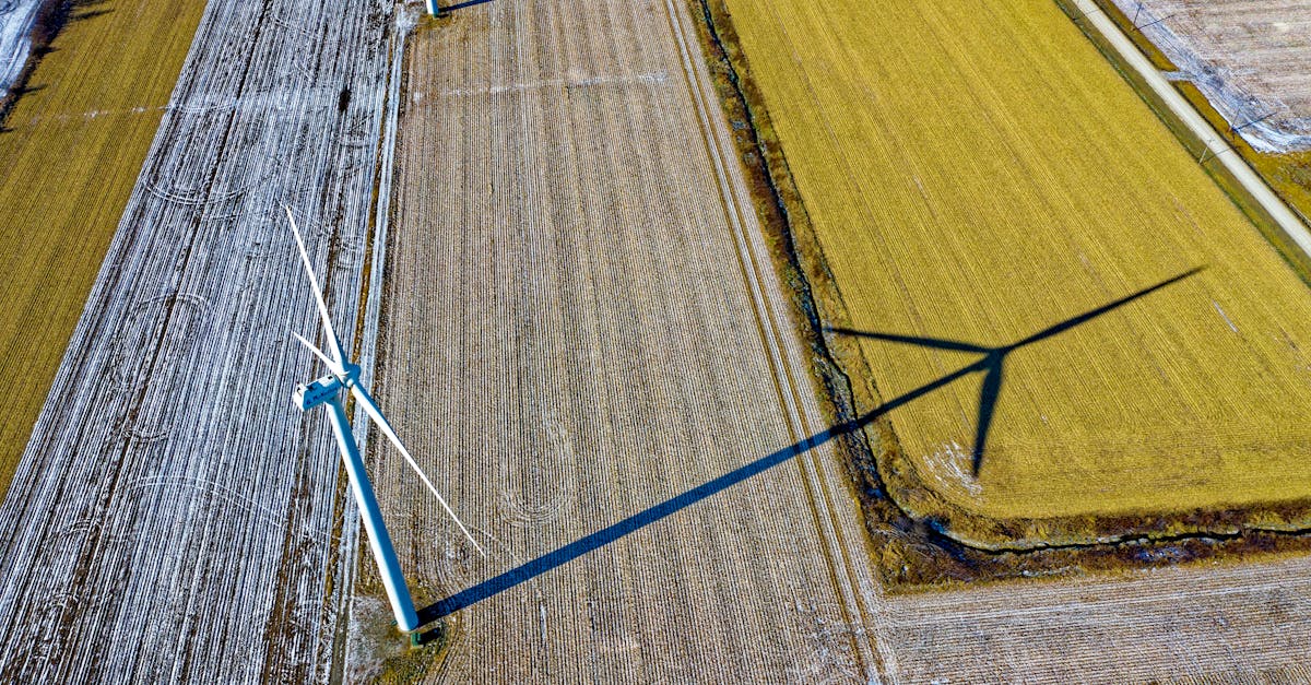 découvrez l'efficacité des ressources, une approche essentielle pour optimiser l'utilisation des ressources naturelles et réduire l'impact environnemental. explorez des stratégies innovantes pour maximiser la productivité tout en préservant notre planète.