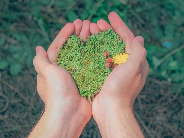 explorez les enjeux et les solutions de la durabilité dans notre monde moderne. découvrez comment adopter des pratiques écoresponsables pour un avenir meilleur, alliant respect de l'environnement et développement économique.