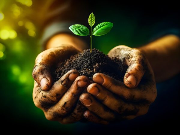 découvrez comment intégrer la durabilité dans votre quotidien et contribuer à un avenir meilleur. explorez des conseils pratiques, des solutions innovantes et des initiatives écologiques pour promouvoir un mode de vie respectueux de l'environnement.