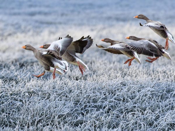 découvrez une approche durable qui allie respect de l'environnement et efficacité. apprenez comment intégrer des pratiques écoresponsables dans votre quotidien et contribuer à un avenir meilleur dès aujourd'hui.
