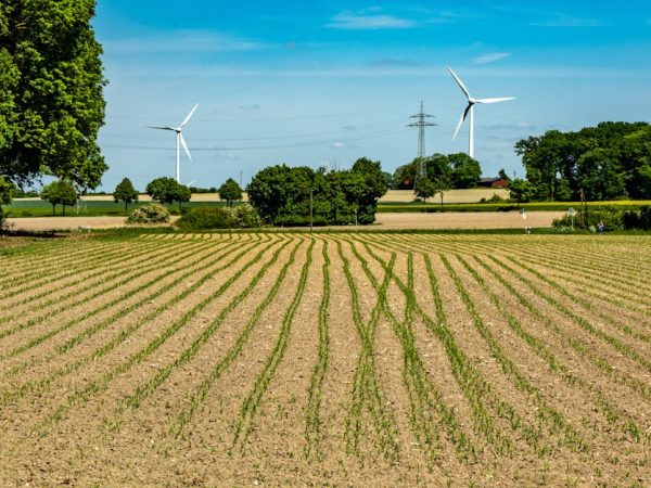 découvrez les enjeux du développement durable et comment il contribue à la préservation de notre planète tout en garantissant un avenir équitable pour tous. explorez des solutions innovantes et concrètes pour un monde plus respectueux de l'environnement.