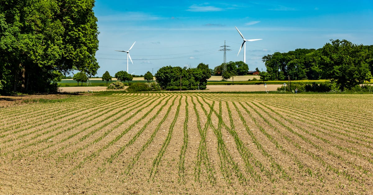 découvrez les enjeux du développement durable et comment il contribue à la préservation de notre planète tout en garantissant un avenir équitable pour tous. explorez des solutions innovantes et concrètes pour un monde plus respectueux de l'environnement.
