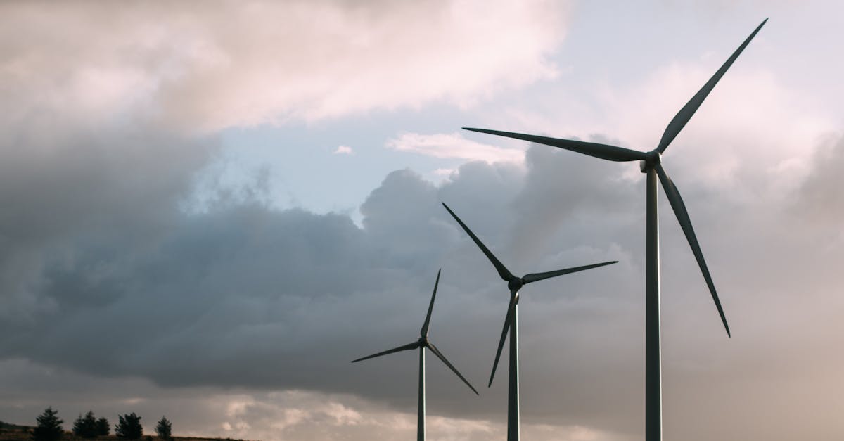 découvrez comment le développement durable allie croissance économique, protection de l'environnement et équité sociale. explorez des solutions innovantes pour un avenir responsable et respectueux des ressources de notre planète.