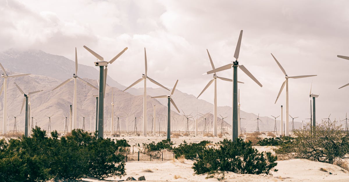 découvrez les principes du développement durable, un équilibre entre croissance économique, protection de l'environnement et équité sociale. apprenez comment adopter des pratiques durables pour un avenir meilleur.