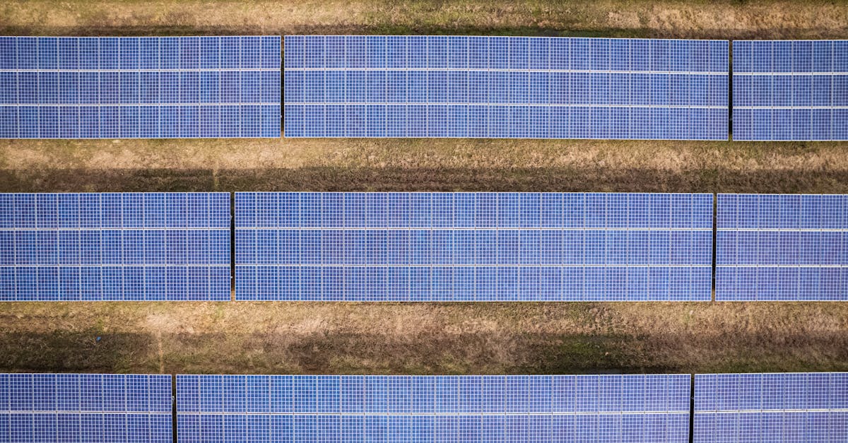découvrez les principes du développement durable, une approche qui vise à concilier la croissance économique, la protection de l'environnement et le bien-être social. apprenez comment adopter des pratiques durables pour construire un avenir meilleur.
