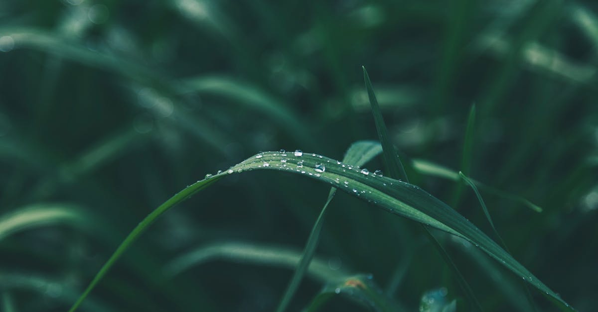 découvrez comment adopter des pratiques de croissance durable pour un avenir responsable. explorez des stratégies qui allient performance économique, préservation de l'environnement et bien-être social.