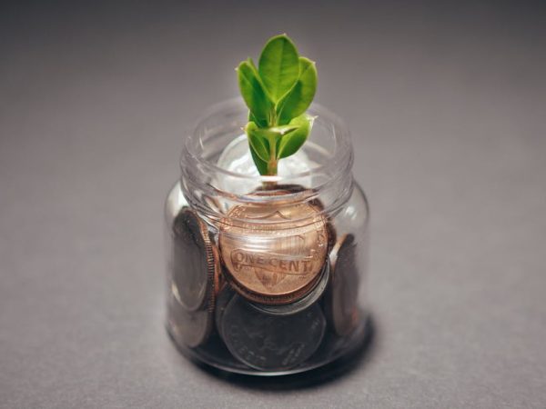découvrez les stratégies et principes du développement durable pour assurer une croissance économique responsable et respectueuse de l'environnement. explorez comment allier prospérité et préservation des ressources naturelles dans un monde en évolution.