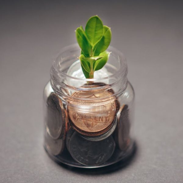 découvrez les stratégies et principes du développement durable pour assurer une croissance économique responsable et respectueuse de l'environnement. explorez comment allier prospérité et préservation des ressources naturelles dans un monde en évolution.