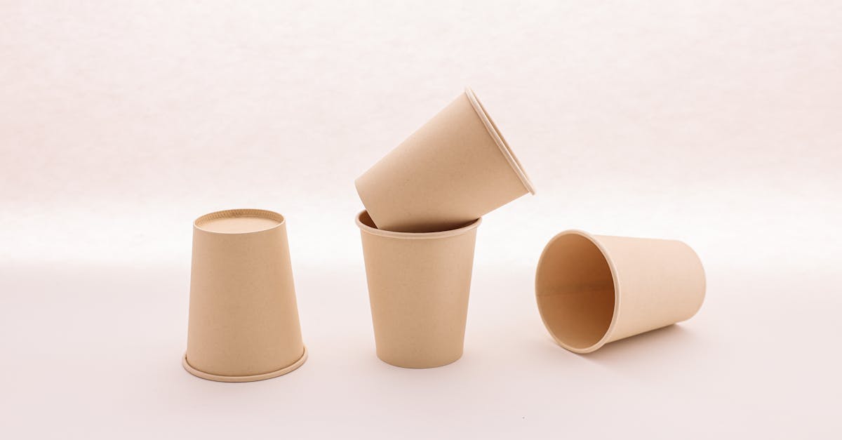 découvrez des habitudes durables qui vous aideront à adopter un mode de vie écologique. apprenez des stratégies simples et efficaces pour réduire votre empreinte carbone, préserver les ressources et vivre de manière plus consciente tout en inspirant les autres à agir pour la planète.