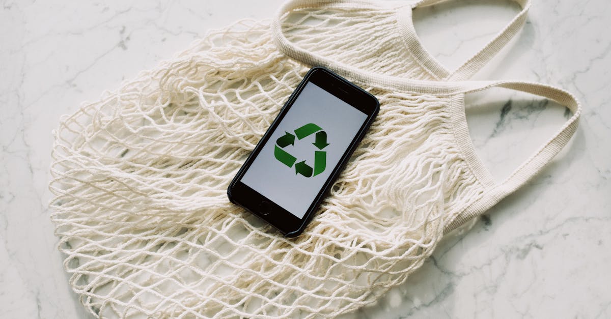 découvrez des astuces et conseils pratiques pour adopter un mode de vie durable. apprenez à réduire votre empreinte écologique, à consommer de manière responsable et à favoriser un environnement sain pour les générations futures.