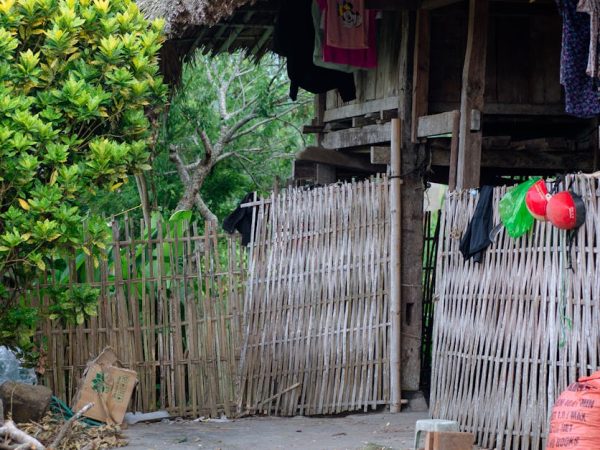 découvrez des conseils pratiques et des astuces pour adopter un mode de vie durable. apprenez à réduire votre empreinte écologique, à consommer de manière responsable et à vivre en harmonie avec la nature.