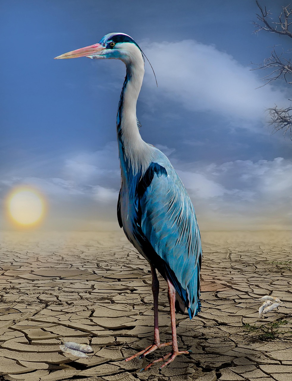 agissez pour le climat : découvrez des initiatives, des conseils et des ressources pour lutter contre les changements climatiques et construire un avenir durable. rejoignez le mouvement vers une planète plus verte et engagez-vous dès aujourd'hui !