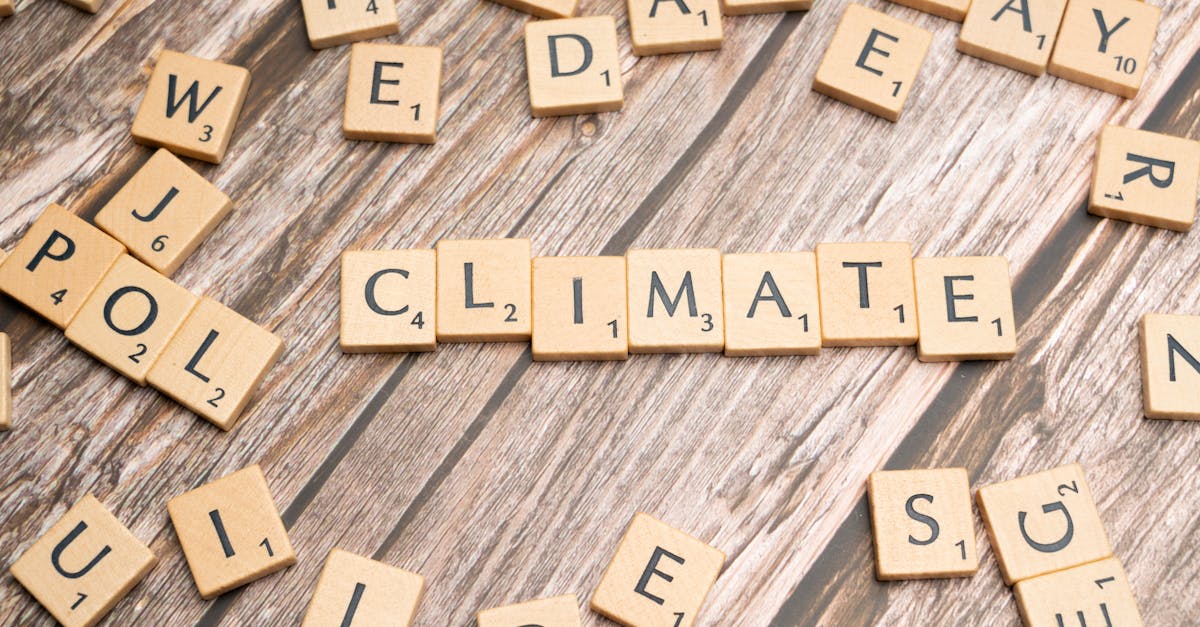 découvrez des stratégies et des solutions innovantes pour l'adaptation au changement climatique. apprenez comment les communautés, les entreprises et les gouvernements peuvent s'ajuster aux impacts environnementaux, tout en préservant la biodiversité et en favorisant un développement durable.