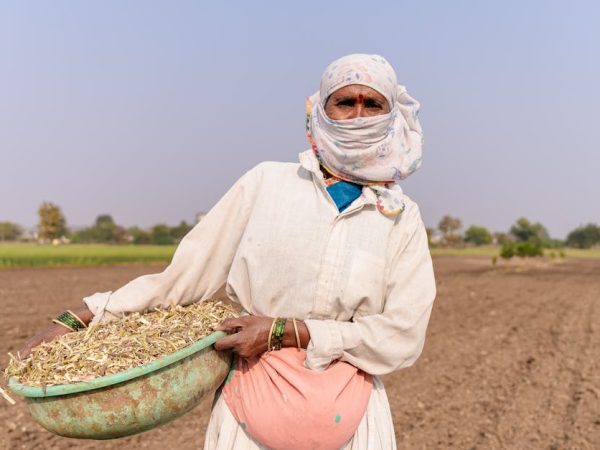 découvrez les stratégies d'adaptation au changement climatique pour protéger notre planète et nos communautés. apprenez comment faire face aux impacts environnementaux et construire un avenir durable.