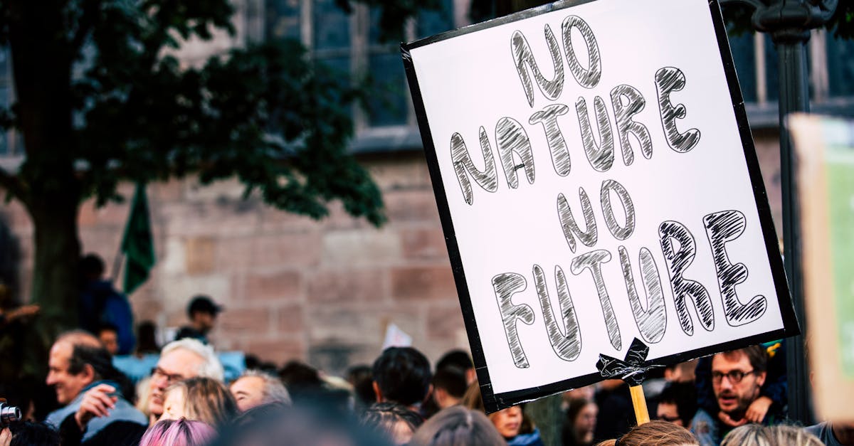 découvrez les implications du changement climatique, ses causes, et comment il façonne notre planète. explorez les mesures à prendre pour un avenir durable et la lutte contre ce défi mondial.