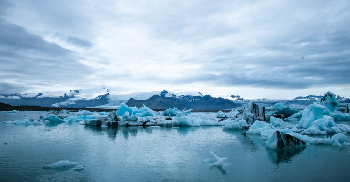 découvrez l'impact du changement climatique sur notre planète, ses causes et ses conséquences. engagez-vous pour un avenir durable et explorez des solutions pour préserver notre environnement.