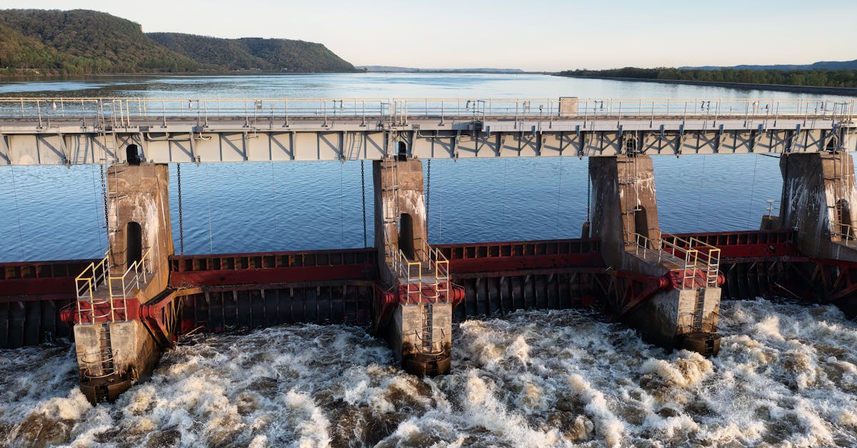 découvrez le pont écologique, une innovation architecturale alliant nature et durabilité. ce lieu unique favorise la biodiversité tout en offrant une traversée sécurisée et esthétique. engagez-vous pour un avenir vert !
