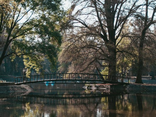 découvrez notre projet d'« écological bridge », un pont innovant qui allie durabilité et préservation de l'environnement. explorez comment cette structure unique favorise la biodiversité tout en facilitant la circulation, offrant ainsi une solution harmonieuse entre l'homme et la nature.