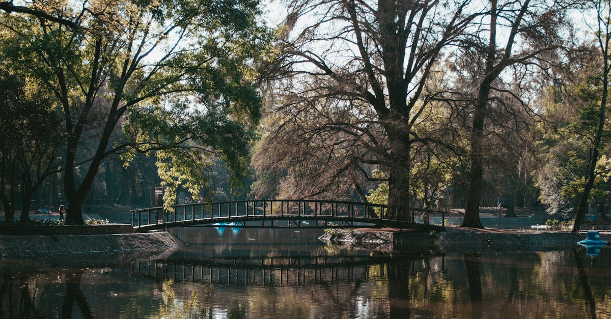 découvrez notre projet d'« écological bridge », un pont innovant qui allie durabilité et préservation de l'environnement. explorez comment cette structure unique favorise la biodiversité tout en facilitant la circulation, offrant ainsi une solution harmonieuse entre l'homme et la nature.
