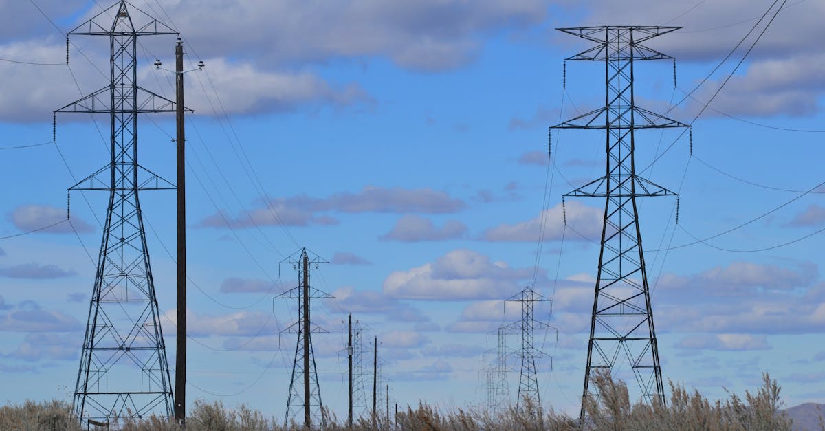 découvrez les réseaux énergétiques, leur fonctionnement et leur impact sur la transition énergétique. apprenez comment ces infrastructures vitales assurent une distribution efficace et durable de l'énergie, tout en répondant aux défis environnementaux actuels.