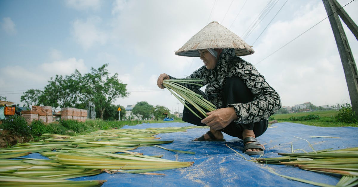 découvrez le concept d'bilatéralisme environnemental, une approche collaborative visant à résoudre les défis écologiques mondiaux à travers des accords entre nations. explorez comment ces partenariats peuvent favoriser un développement durable et une gestion efficace des ressources naturelles.