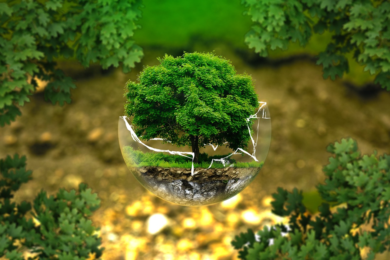 découvrez notre politique environnementale engagée, visant à promouvoir le développement durable, la protection des ressources naturelles et la réduction de notre empreinte écologique. engagez-vous avec nous pour un avenir plus vert et responsable.