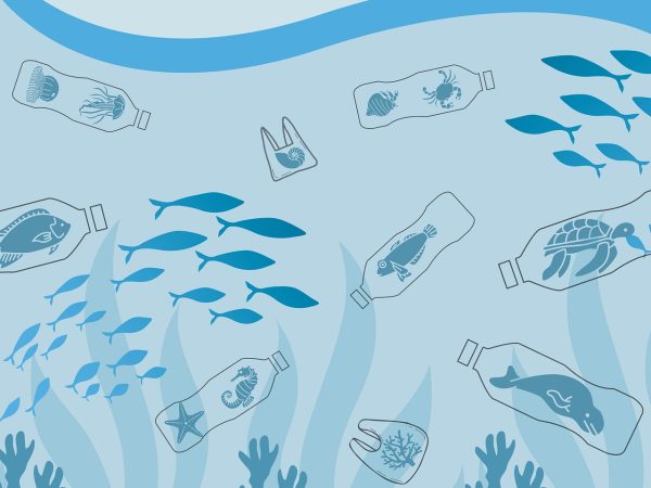 découvrez notre politique environnementale engagée visant à protéger notre planète. nous mettons en place des initiatives durables, réduisons notre empreinte carbone et favorisons le respect des ressources naturelles. rejoignez-nous dans notre démarche pour un avenir plus vert.