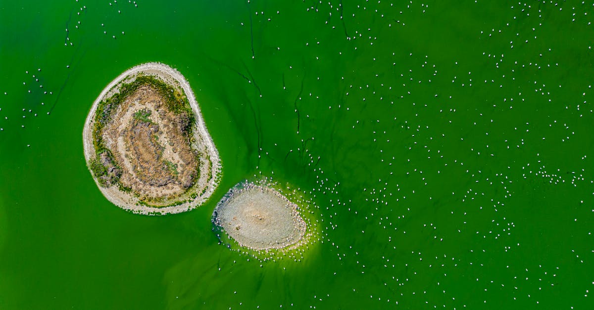découvrez les normes environnementales essentielles qui régissent la protection de notre planète. apprenez comment ces standards encouragent la durabilité, réduisent l'impact écologique et favorisent des pratiques respectueuses de l'environnement. engagez-vous pour un avenir plus vert grâce à des informations sur la réglementation et les initiatives environnementales.