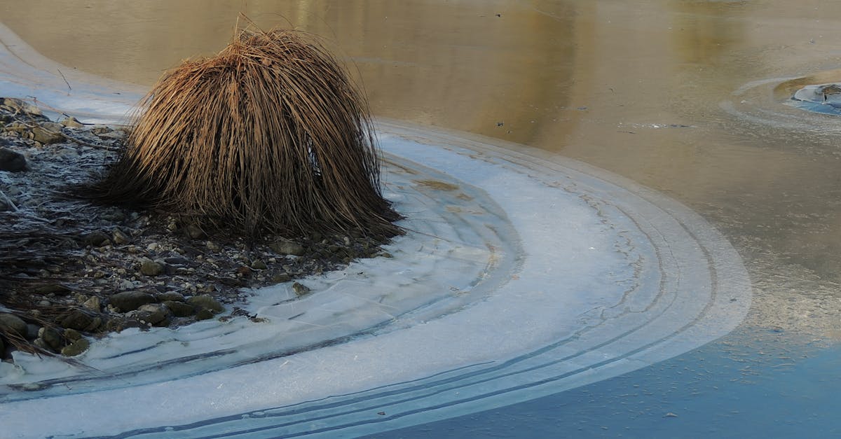 découvrez les normes environnementales essentielles qui protègent notre planète. informez-vous sur les réglementations, les certifications et les pratiques durables qui favorisent un avenir écologique sain.