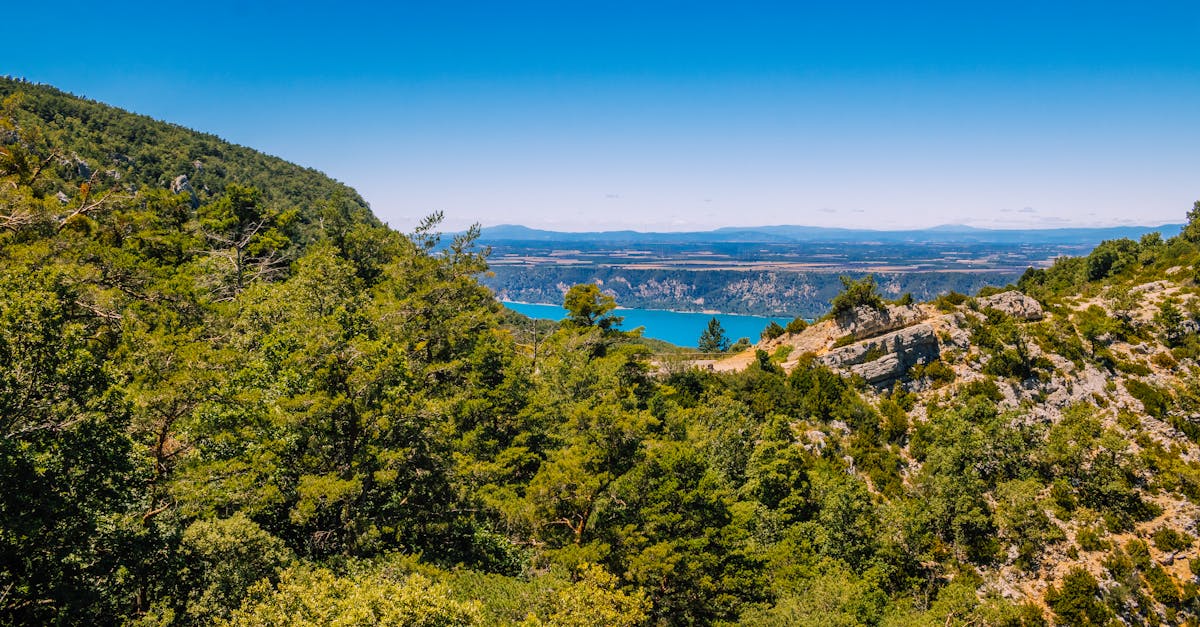 découvrez les gardiens des forêts : un voyage fascinant au cœur de la nature, où la protection de l'environnement et la préservation des écosystèmes sont au rendez-vous. engagez-vous avec ceux qui luttent pour conserver la biodiversité et restaurer les habitats naturels.