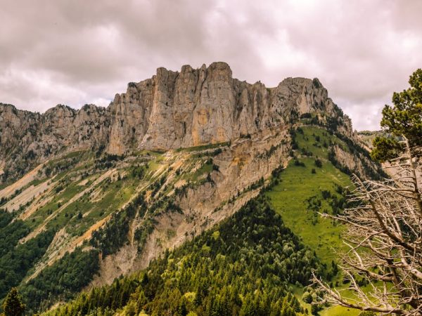 découvrez le monde des gardes de la forêt, où la nature est protégée par des champions de l'environnement. explorez leur engagement envers la préservation des écosystèmes, la biodiversité et l'harmonie entre l'homme et la nature.