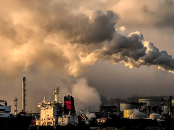 découvrez comment la consommation des ressources impacte notre environnement et explorez des solutions durables pour un avenir meilleur. informez-vous sur les enjeux liés à la gestion des ressources et les pratiques éco-responsables.