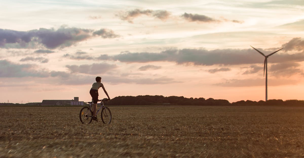 découvrez l'importance de la durabilité dans notre monde moderne. apprenez comment adopter des pratiques respectueuses de l'environnement pour préserver notre planète pour les générations futures. explorez des stratégies innovantes et des modes de vie durables pour contribuer à un avenir plus vert.