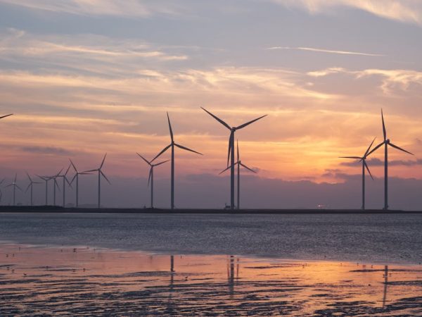 découvrez comment la durabilité transforme notre mode de vie et notre environnement. explorez des pratiques innovantes et des solutions pour un avenir plus vert et responsable.