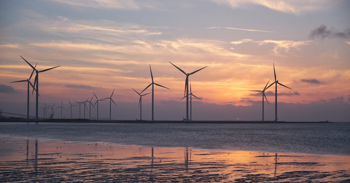 découvrez comment la durabilité transforme notre mode de vie et notre environnement. explorez des pratiques innovantes et des solutions pour un avenir plus vert et responsable.