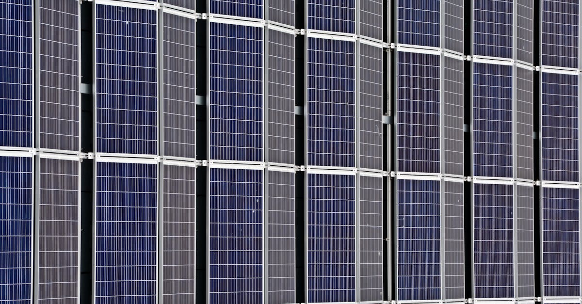 découvrez comment la durabilité transforme notre monde. explorez des pratiques écologiques, des innovations responsables et des stratégies pour un avenir durable qui préservent notre planète pour les générations futures.