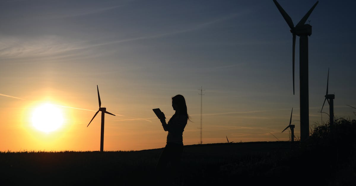 découvrez comment la durabilité transforme notre société et notre environnement. explorez des solutions innovantes, des pratiques écoresponsables et des stratégies pour un avenir plus vert et durable.