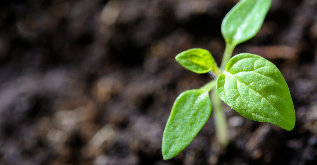 découvrez l'importance de la durabilité dans notre monde moderne. apprenez comment adopter des pratiques écologiques pour protéger notre planète tout en favorisant un avenir meilleur pour les générations futures.