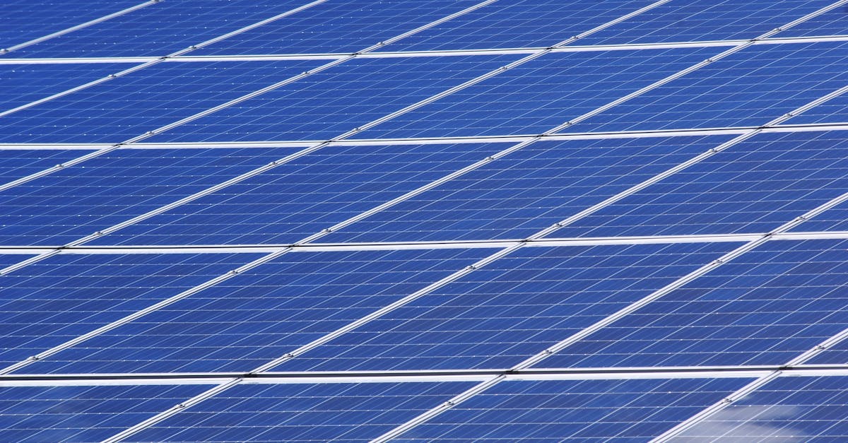 découvrez l'importance de la durabilité dans notre vie quotidienne et son impact sur l'environnement. explorez des pratiques écologiques, des innovations vertes et des solutions pour un avenir plus durable.
